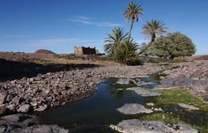 fosfati in marocco