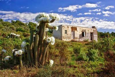 ... Guardai verso le colline ...