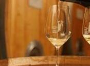 NEWS. DOLOMITI.IT: Giornate Riesling Naturno Venosta. appuntamenti Concorso Nazionale, Piccolo vino l’imperdibile “vino design”