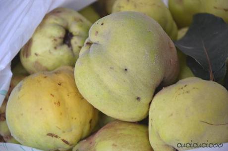 how to make the ultimate quince jam