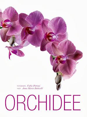 Orchidee da favola in un libro!  Anna Maria Botticelli e Fabio Petroni