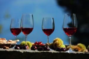 NEWS. DOLOMITI.IT: a Lagundo l’anteprima del WineFestival 2013. Presentazione dei 400 vini che si degusteranno nella kermesse meranese con primizie a chilometro zero.