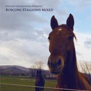 AA.VV. - Bosconi Stallions (Box Set)