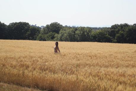 Fields Of Gold