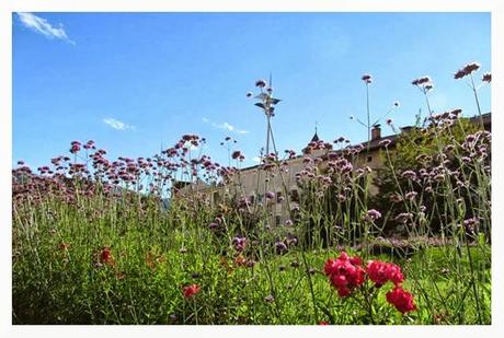 ALTO ADIGE (PRIMA PARTE) - BRESSANONE, VAL DI FUNES, ODLE