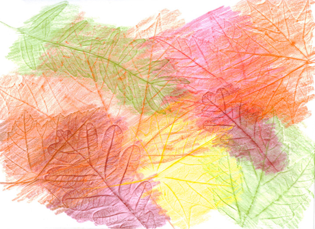 Giochiamo con le foglie!