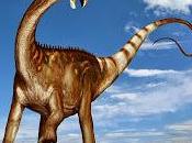Scoperto nuovo importante dinosauro paleontologi italiani