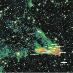 Intensa formazione di idrogeno molecolare nella nebulosa a riflessione IC 63 nella costellazione di Cassiopea. Le barre bianche rappresentano la polarizzazione rispetto alle stelle sullo sfondo della nebulosa. A maggiore polarizzazione corrisponde l’emissione più intensa, dimostrando che la formazione di idrogeno influenza l’allineamento dei grani di polvere con un campo magnetico. Crediti: B-G Andersson, USRA