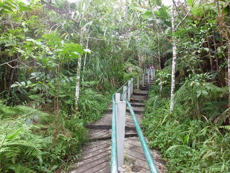 Viaggi in Indonesia: il parco di Tomohon