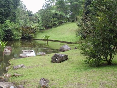 Viaggi in Indonesia: il parco di Tomohon