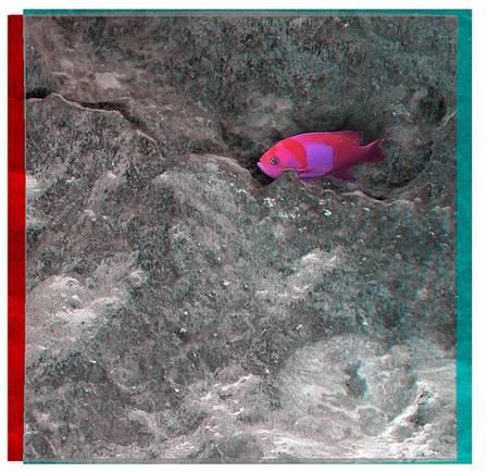 OPPORTUNITY Sol 1045 mic anaglyph fish