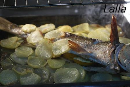 cefalo al forno