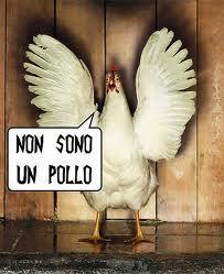 http://obiettivi.files.wordpress.com/2013/09/255db-pollo2.jpg?w=780