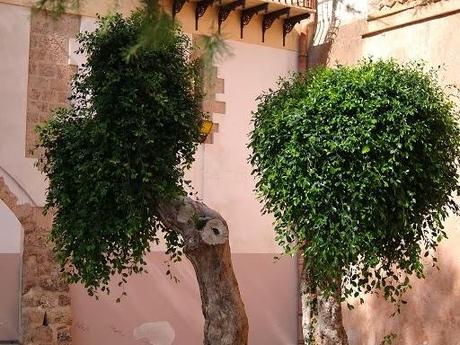 A Monreale, una domenica d'autunno