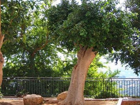 A Monreale, una domenica d'autunno