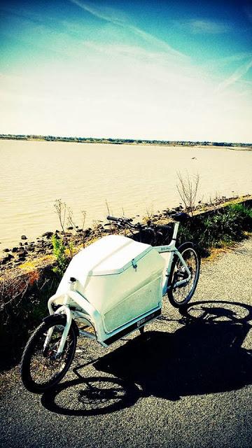 Consegnare la merce ai negozi con le Cargo bike. Quante cose si potrebbero fare se solo Roma fosse un minimo più ciclabile?