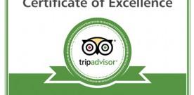 Tripadvisor, una notte da secessionisti 2.0