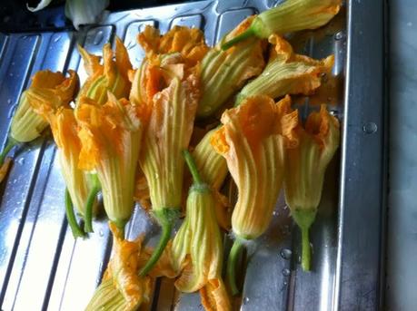 Fiori di zucca ripieni