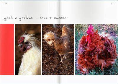 Il numero autunnale di Blossom zine è online !