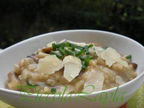 risotto funghi e cipollina (14)b