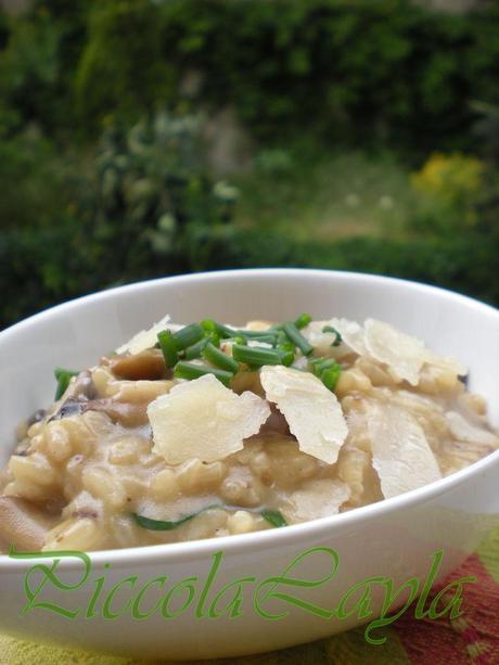 risotto funghi e cipollina (16)b