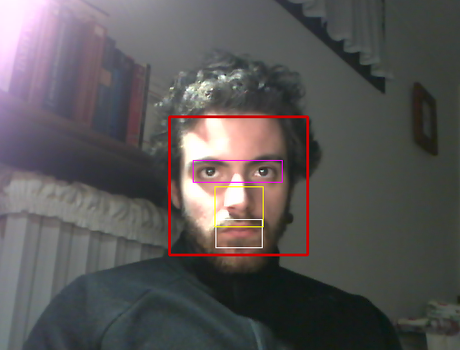 Face-detection in esecuzione