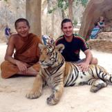 Tiger Temple, a tu per tu con le tigri in Tailandia