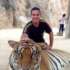 Tiger Temple, a tu per tu con le tigri in Tailandia