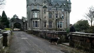 Overtoun Bridge, il ponte dei suicidi...canini