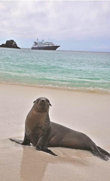 Silversea: entra nella flotta Silver Galapagos, seconda nave nel segmento expeditions