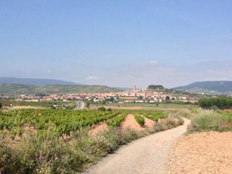 Cammino di Santiago nella Rioja