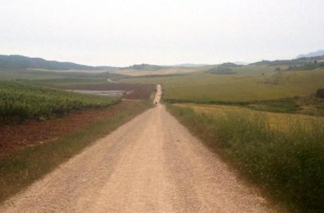 Camino di Santiago in Navarra