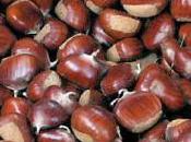 “Sagra delle Castagne” Marradi Tutte domeniche Ottobre