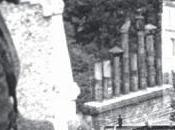 Back roots: entr'acte