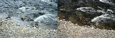 2252215478 fed5419535