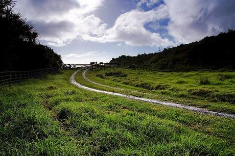 2570023520 0b93b77502