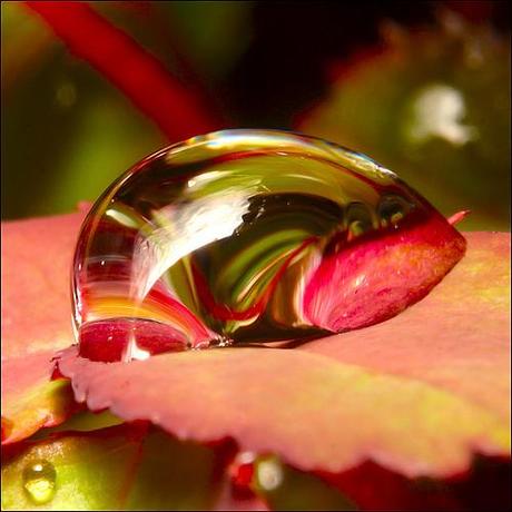 3576547494 d78c267ffb