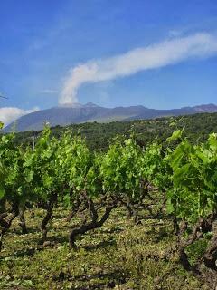 Sul mercato la nuova annata di LAENEO, la vendemmia 2012. Chicca per enoappassionati, Nerello Cappuccio in purezza