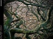 Desolation Desoriented