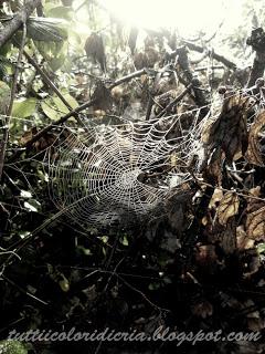 Un paio di scatti a: ATMOSFERE DI OTTOBRE