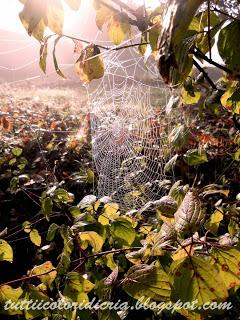 Un paio di scatti a: ATMOSFERE DI OTTOBRE