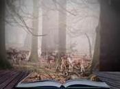 Avventura letteraria