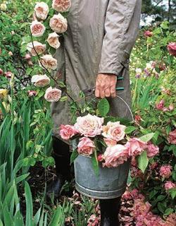 Ortochiacchiera sul blog de L'orto di Michelle