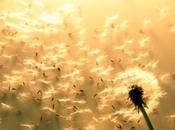 Impariamo perdonare liberandoci rancore