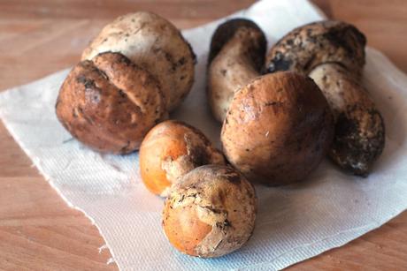 Mushrooms time. Insalata di ovoli con l'uovo in camicia