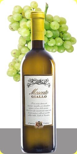 moscato-giallo trentino