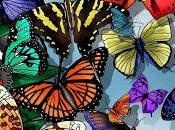 piacere reale proviene fare volontà Dio. corso miracoli.