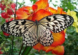 La tua credenza, che ti manca qualcosa è una illusione. Corso dei Miracoli.