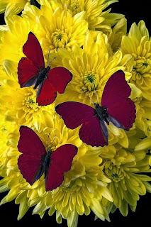 La tua credenza, che ti manca qualcosa è una illusione. Corso dei Miracoli.