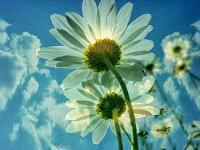 Sei abbondante, sei pieno, sei perfetto. Il corso di miracoli.